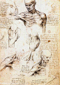 男性肩膀的解剖研究 - anatomical studies of a male shoulder #油画# #文物#