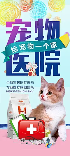 宠物店海报宣传招聘设计单页传单