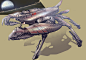unclefengcrab