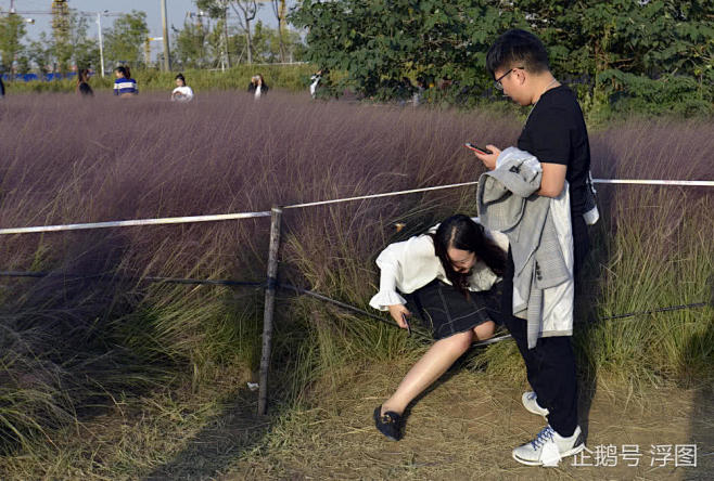 郑州“网红花海”遭践踏 美女翻越围栏拍照