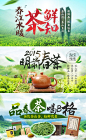 茶-明前春茶 茶鲜知  电商淘宝海报 #banner# 春天茶