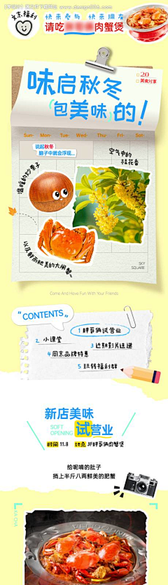 Tomatodo采集到社媒-国内静态