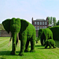 absolutely spectacular topiary