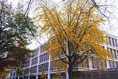 中央公园,自然,美国,水平画幅,秋天,无人,户外,乡村风格,湖,阳光光束