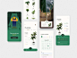 Plant care app concept design minimal fireart fireartstudio app plant illustration plant ui