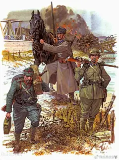 点击查看图片来源