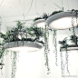 多伦多的设计师ryan taylor设计了这款可以种植植物的巴比伦灯。外表铝涂层的这款灯适合成为家里的一个有机植物园，或者厨房里面的药草园，当然，无论它放在那里，它都是最迷人的个人空中花园。