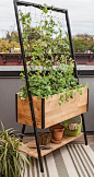 Elevated Planters  Great for balcony gardening: 