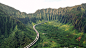 Hawaii Route 61 aka"Pali Highway". by Chun Chau on 500px