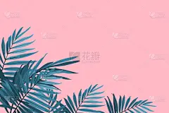 鸡尾酒,绿色,粉色背景,棕榈叶,复叶,传单,壁纸,植物群,植物,问候