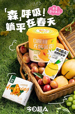 这个人是个人采集到文字版式取胜and日系清新