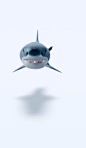 This contains an image of: Shark motion wallpaper