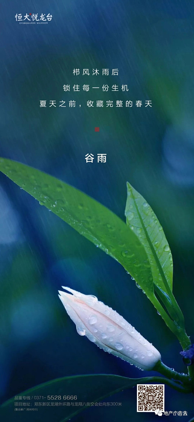 地产微信-雨水