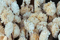 在阳光下用木头制作的白菊花工艺品