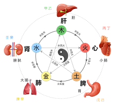 Tweezy采集到做手账和相册用