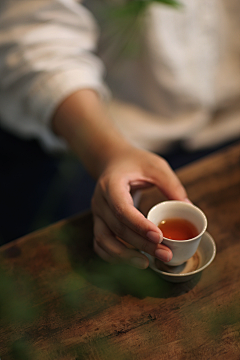 靜蝶飛舞采集到靜蝶飛舞---茶道人生