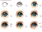 anime eye tutorial by *mirukawa on deviantART