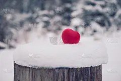 雪,情人节卡,概念,心型,森林,玩具,美,贺卡,公园,灵感