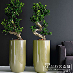 小珺珺19采集到专项——花钵