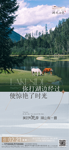 zhengjiaojiao采集到地产广告