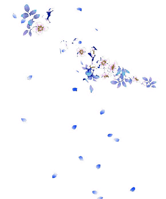 自抠素材