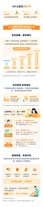 锦鲤1号保险