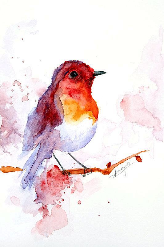 水彩画，水粉画鸟，鸟艺术，动物图，鸟PR...