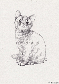 素描动物-花瓣网|陪你做生活的设计师 | 动物的小速写开始入手哦~ （案例出自《兴趣学速写》下册，书中皆有详细步骤及照片对照，另有十二个教学 ...
