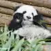 ^番茄鸡蛋捞面条