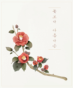 扎两个小辫的小泥采集到插画 花卉