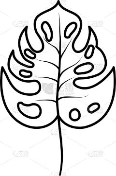 鸡尾酒,环境,叶子,图标,有机食品,自然,季节,热带雨林,清新,收集