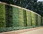 Outdoor Design Ideas, Pictures, Remodel & Decor