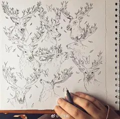 再凶猛的野兽也有温柔的一面~~手绘动物，铅笔画~ 
ins：lilz_art ​  via @手账酱 ​ ​​​​