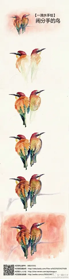 【水彩小过程】闹分手的鸟----- 一滴水