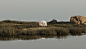 Moon Journey Across Landscapes  Behance (7)