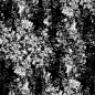 Wall Grunge_03