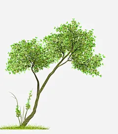 卡通简约大树装饰广告高清素材 卡通大树 手绘树木卡通 树木 树木插画 海报设计 环境保护宣传手册装饰 装饰设计 免抠png 设计图片 免费下载