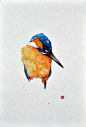 〝书法与绘画一样，第一笔永远是最重要的，从无到有就是从下笔开始！〞旧金山艺术家 Karl Martens 深谙绘画与书法的灵魂，他结合了中国与日本书法以及西洋水彩，完成了这些美丽惊人的鸟类绘画！