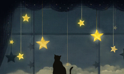 星星梦