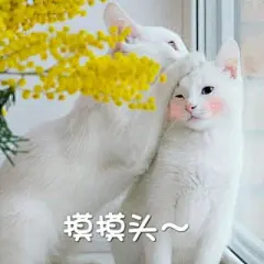 墨夜笙：仙女表情包_卡通动漫头像_我要个性网