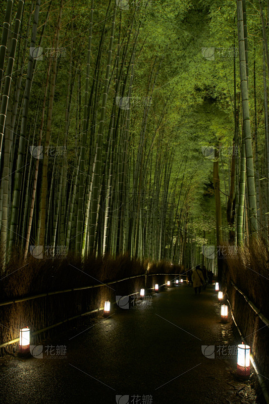 竹林,夜晚,垂直画幅,京都市,无人,岚山,2015年,背景,摄影,旅游