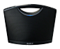 Sony SRS-BTM8