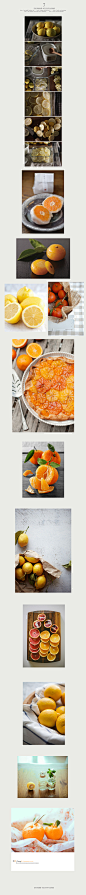 静物摄影之水果：｛柠檬橙子桔子橘子｝