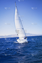 帆船队,赛舟会,乘务员,垂直画幅,水,风,夏天,户外,甲板,运动
