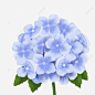 美麗的藍色花, 繡球, 藍色的小花, 藍色繡球花 PNG圖案素材