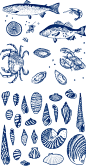2018蓝色复古手绘海鲜鱼虾螃蟹贝壳插图矢量素材