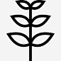 蔷薇花和叶线形图标高清素材 icon 页面网页 平面电商 创意素材 png素材