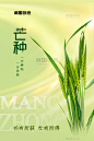 芒种节气麦子绿色小清新中国风海报