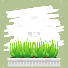 条幅方形框芦荟植物为背景绿色广告，空白条幅芦荟叶子为拷贝空间，剪贴艺术芦荟条幅广告，空白模板芦荟化妆