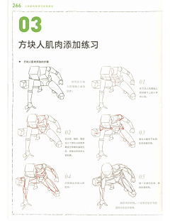 mmbzsc采集到人体结构原理与绘画教学